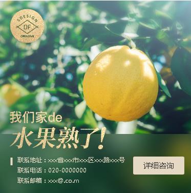 浦东果园果林小程序开发